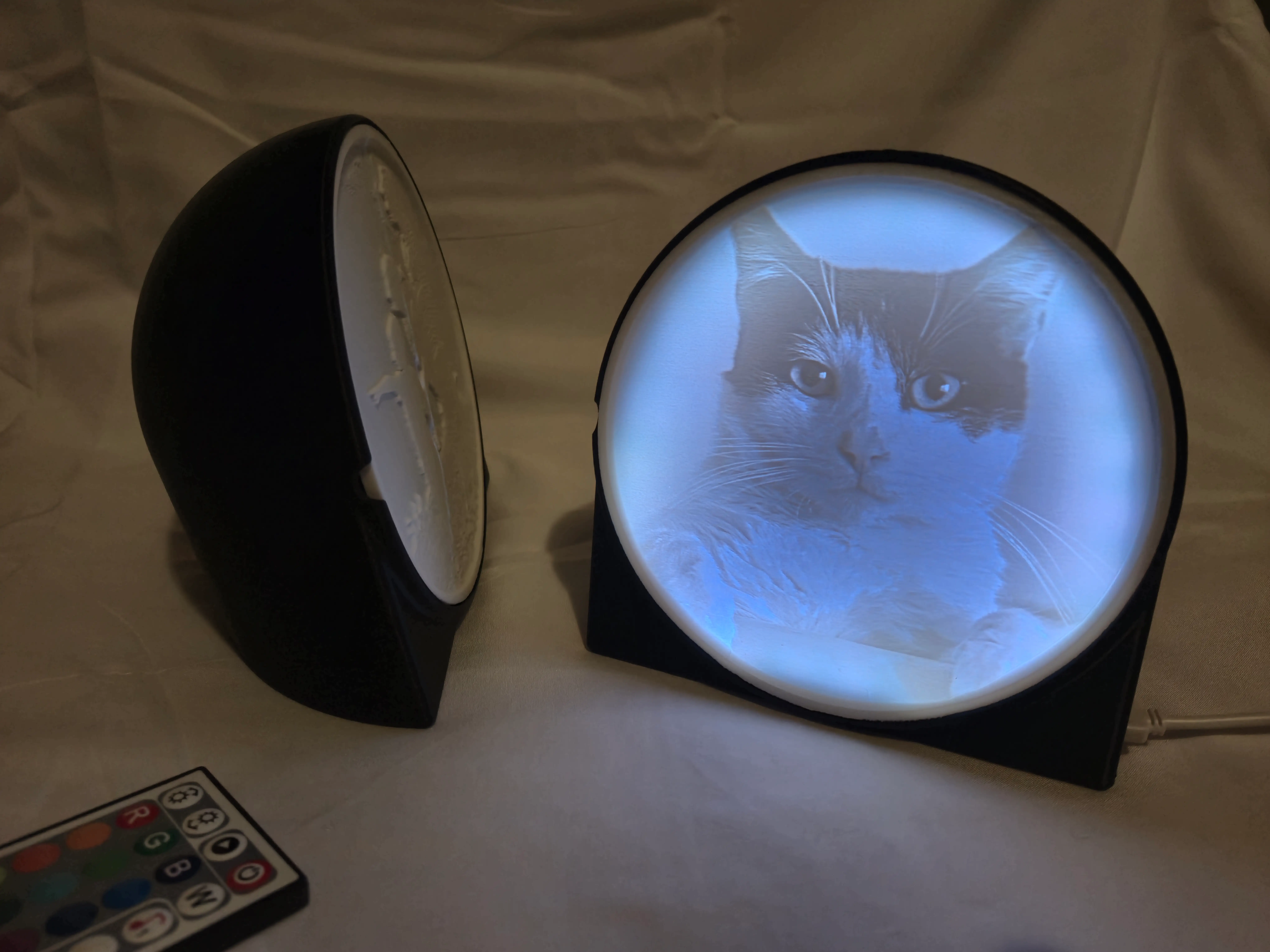 Lithopane of a cat